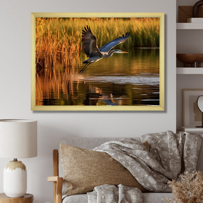 Heron In Delaware Lakes sur impression sur toile