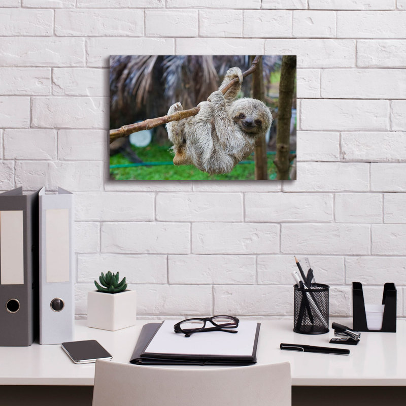 «Baby Sloth» par Epic Graffiti Portfolio, H 12 po x l 18 po x P 0,75 po