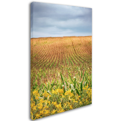 «Joden Corn Field» par Jason Shaffer, reproduction de photo sur toile tendue