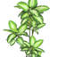 Arbre de daffenbachia artificiel en pot