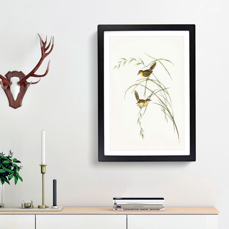 Exile Warbler by Elizabeth Gould - Picture Frame Painting Print, 48cm H x 36cm W x 2cm D, Black Framed