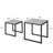 Caegan 2 Piece Nest of Tables