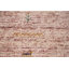 Tapis tribal en laine de style Gabbeh 8 x 11