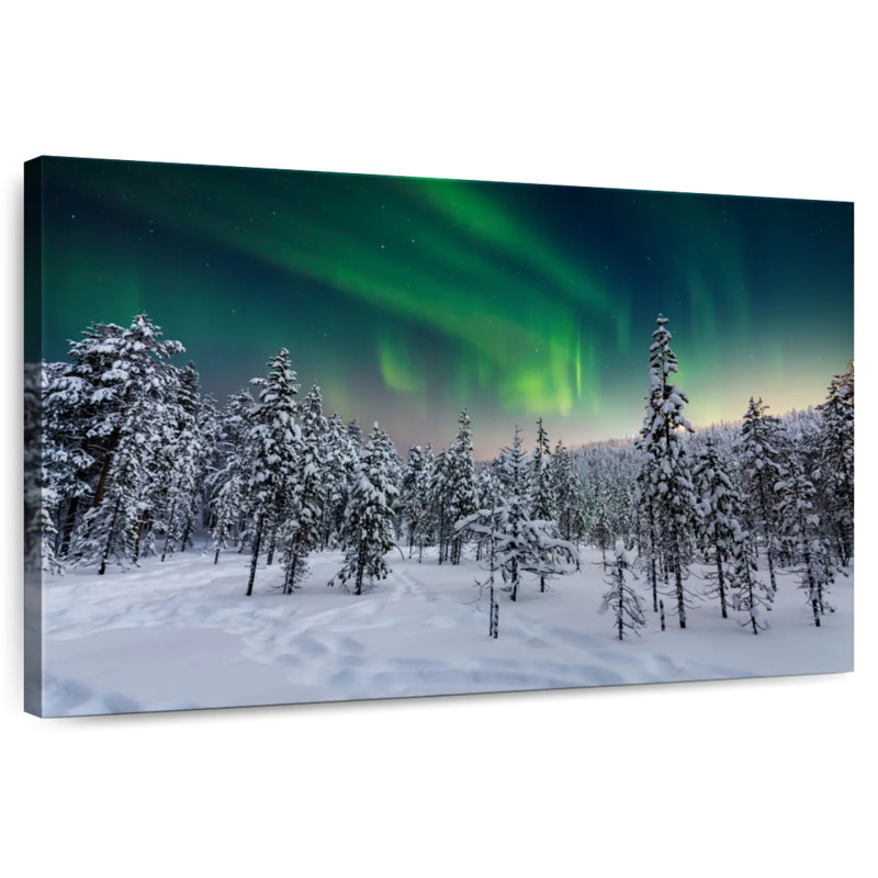 Arbres de Laponie recouverts de neige, H 32 po x l 48 po