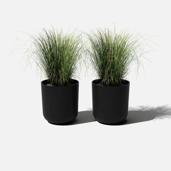 Indoor Flower Pots Joss  Main