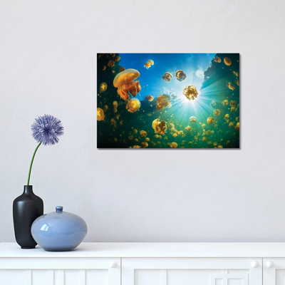 Sunlight AndJellyfish by Barathieu Gabriel - Wrapped Canvas Print