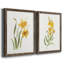 Ochre botanique I - ensemble de 2 reproductions d'art-451386744-451386746-451386720