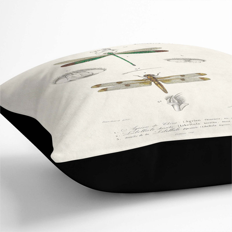 Dragonfly Illustrations PL. L Square Throw Cushion, 40cm H x 40cm W x 15cm D, Black