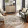 Jurado Oriental Ivory/Gray/Beige Area Rug