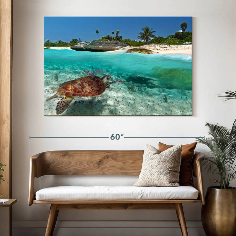 Caraïbes, île des tortues, H 34 po x l 51 po