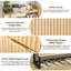 17 Pair Shoe Storage