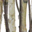Branches mixtes dans un cadre de table en bois blanc-822038471