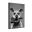 Animaux, chien tenant un pistolet dans la bouche, noir et blanc-1462209284