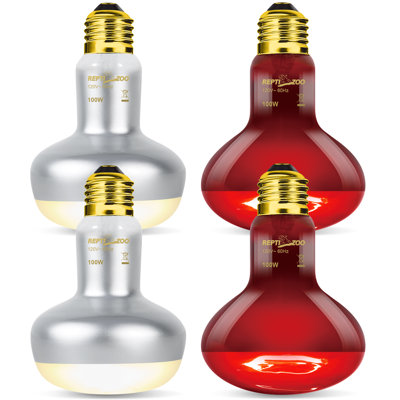 Glass Reptile Heat Lamp