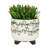 S/2 Ceramic 6/8" Scribble Footed Planter