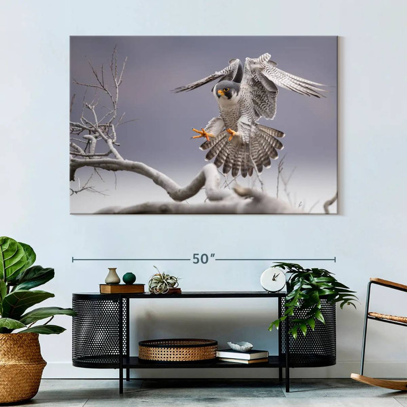 Peregrine Falcon, 34" H x 51" W