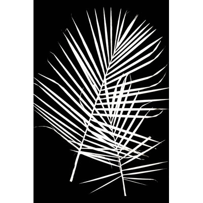 Eric Linton " Majesty Palm 1 "