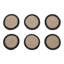 Ensemble de 6 sous-verres Raven Harvest