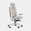Ergonomic Pro Headrest-498745497
