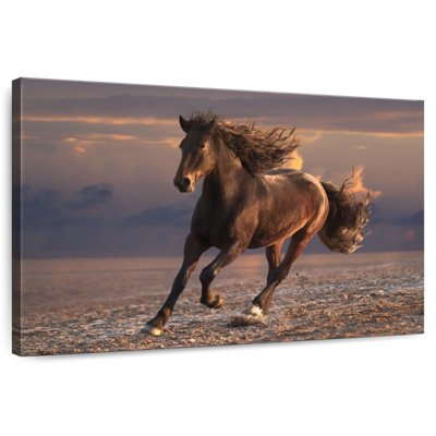 Brampt Sandy Beach Horse