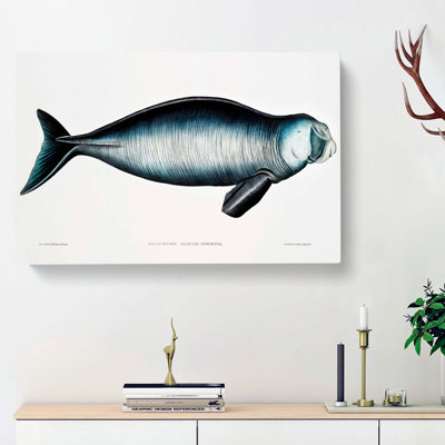 Indian Dugong by John Edward Gray - Wrapped Canvas