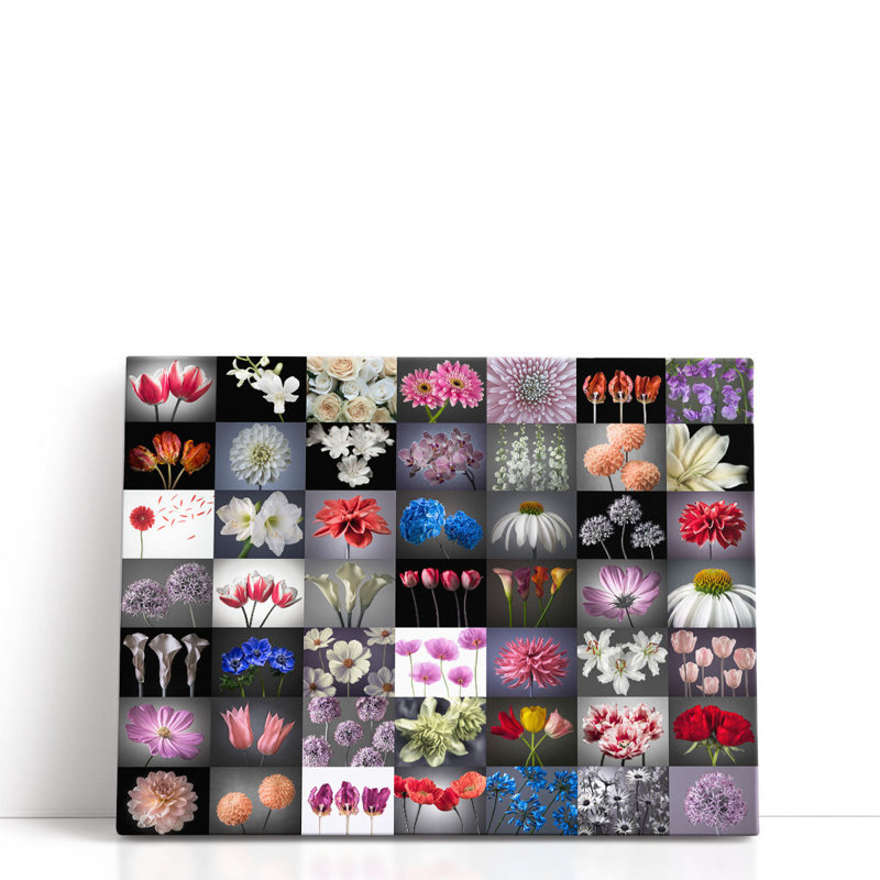«Collage Of Flowers», reproduction d'art sur toile, H 18 po x l 24 po