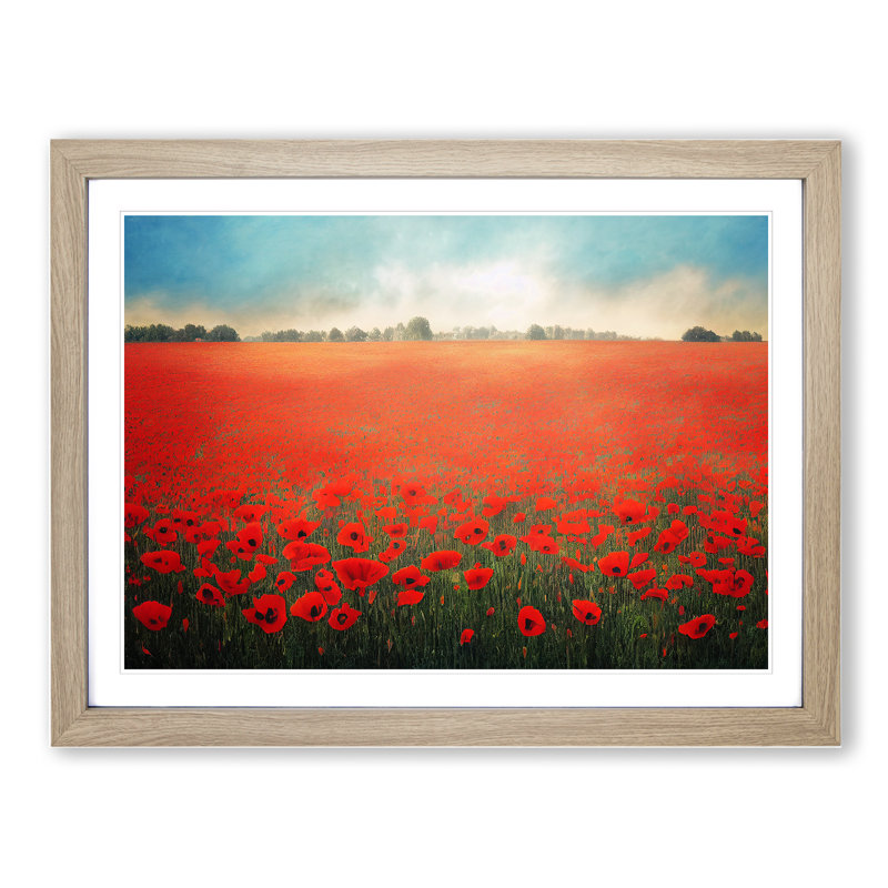 Vibrant Poppies Flowers - Framed Print, 46cm H x 64cm W x 2cm D, Oak