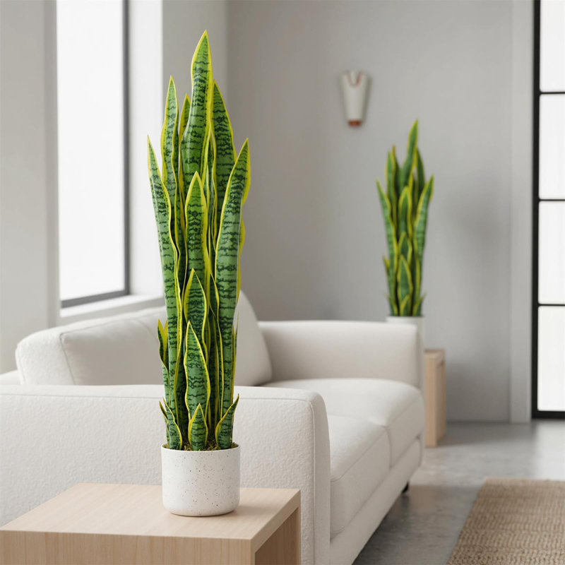 Plante de serpent artificielle de 3 pi en pot de ciment