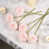 Rose est en rupture de stock