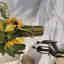 Photos des clients 1 de 1