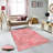Antibacterial Woven Carpet (3D Digital Print) 4.0 x 5.9 Feet, 100% Polyester, Pile Height: 0.3 Inches | PVC Felt Dot Non-Slip Underside, Machine Washable, Perfect for Living Room & Bedroom Decor-2082265249