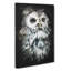 Tawny Owl - Wrapped Canvas-56634000