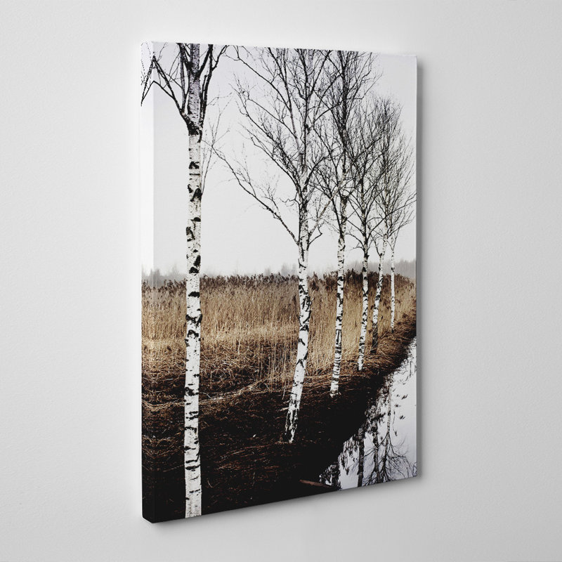 Birch Tree Landscape Photographic - Wrapped Canvas, 50cm H x 35cm W