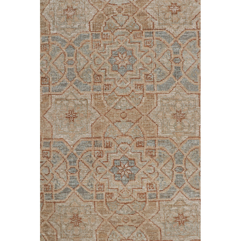 Hand Knotted Area Rug in Beige/Brow/Blue