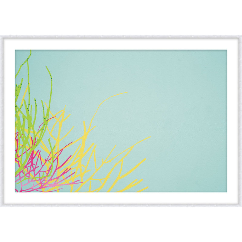 Coral Garden 3 Print by Jennifer Mckinnon Richman, 39.2" H x 56.2" W
