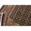 Wool Oriental Area Rug in Gold