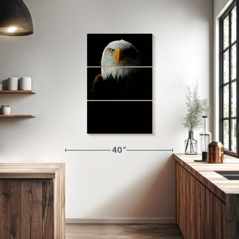 Brampt Bald Eagle Headshot, 38" H x 24" W