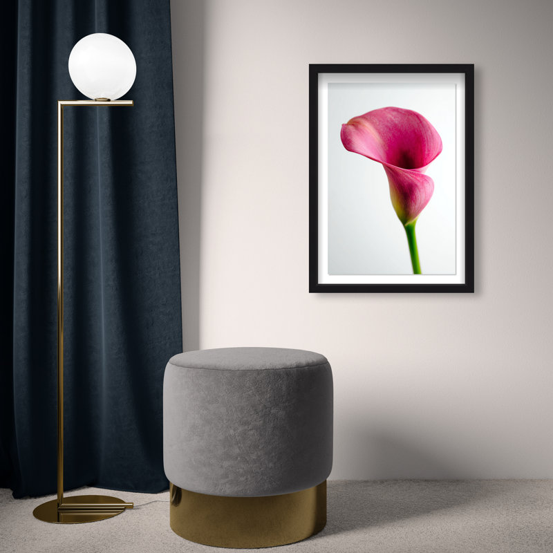 Pink Luminescence II Shadowbox Floral & Botanical Print by Oliver Gal, Black Frame, 10 x 15, 17.5"H x 25.5"W, Black Shadowbox