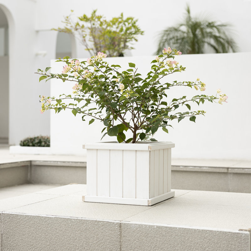 Boîte à fleurs en bois Barros, Blanc