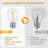 Outdoor 10 - Bulb 25'' Solar Powered String Light
