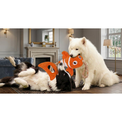 Jouet de tir à la corde Squeaky Durable