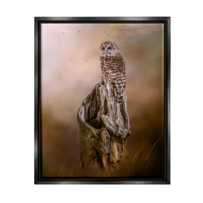 " Barred Owl Perched Tree Trunk Nature "