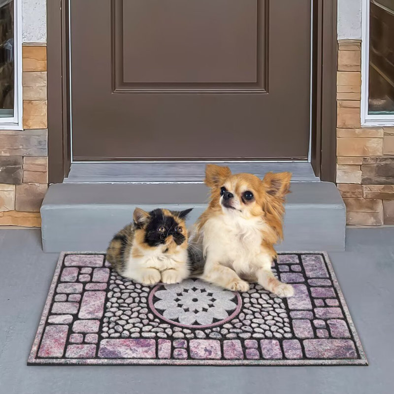 Winston Porter Heavy Duty Outdoor Door Mat Indoor Enterway Rug Entrance Mat Non Slip XZ, Set of 2