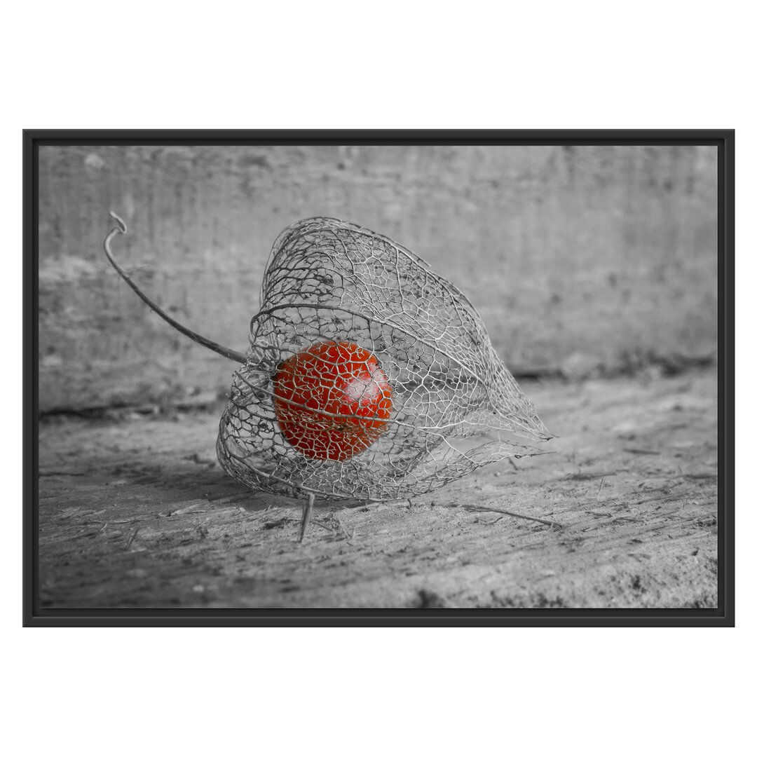 Gerahmtes Wandbild leckere Physalis in Schale