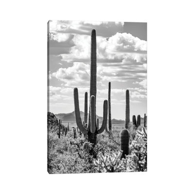Black Arizona Series - Giant Saguano Cactus by Philippe Hugonnard - Wrapped Canvas Photograph