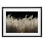 «White Feathers Windblown Grass», reproduction encadrée sous verre, design par Decent Exposures-472655916-472655917