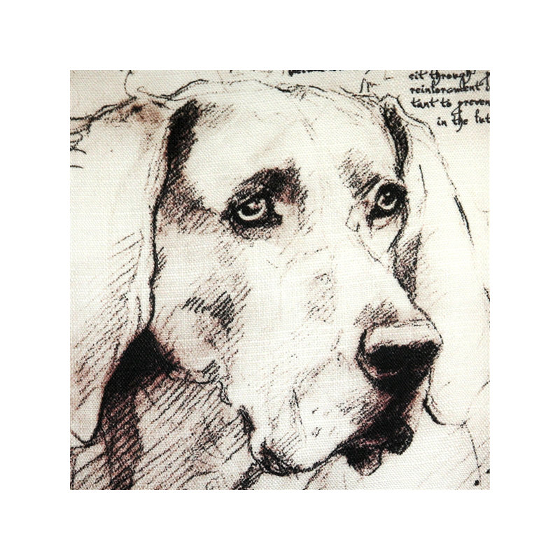  Coussin intérieur / extérieur Weimaraner Dog