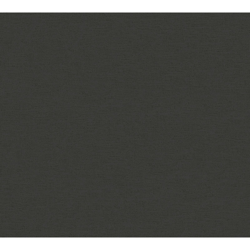 Rouleau de papier peint L 33 pi x l 20,9 po, Noir