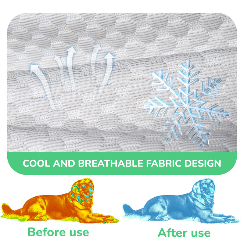 Orthopedic Polyester Pet Bed