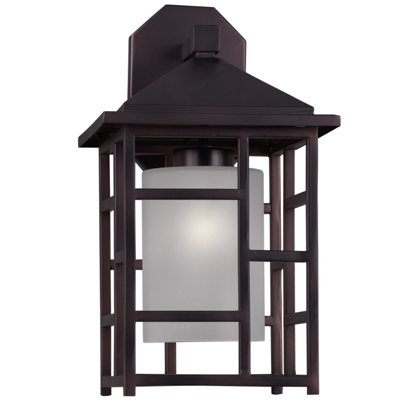 Lanterne murale d’extérieur 1 luminosité Rowen, H 15 po x l 8,5 po x P 9,3 po